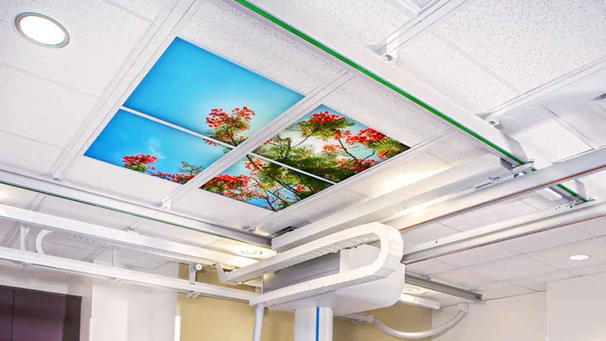 Mass General Brigham X Ray 2